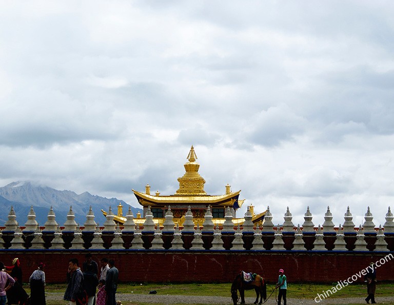Verdurous Tagong Grassland in Summer Best Places To Visit in Sichuan in Summer