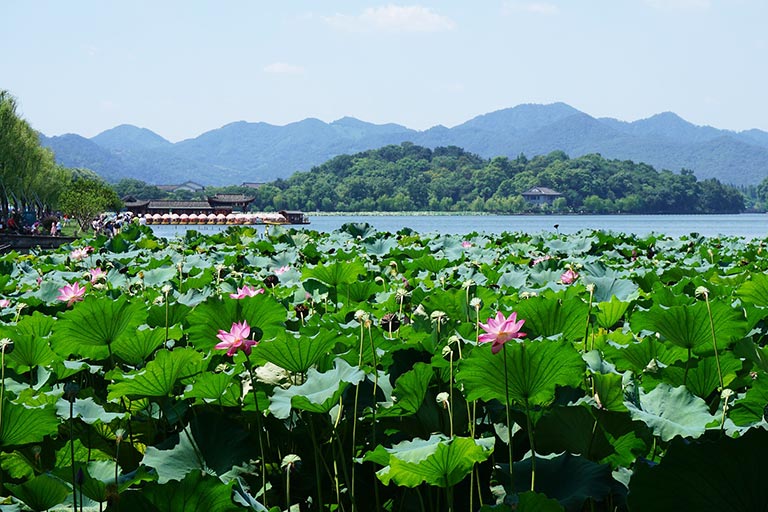 Ten Scenes of West Lake