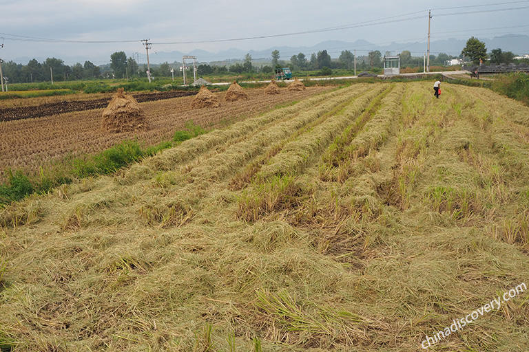 Nanping Villge